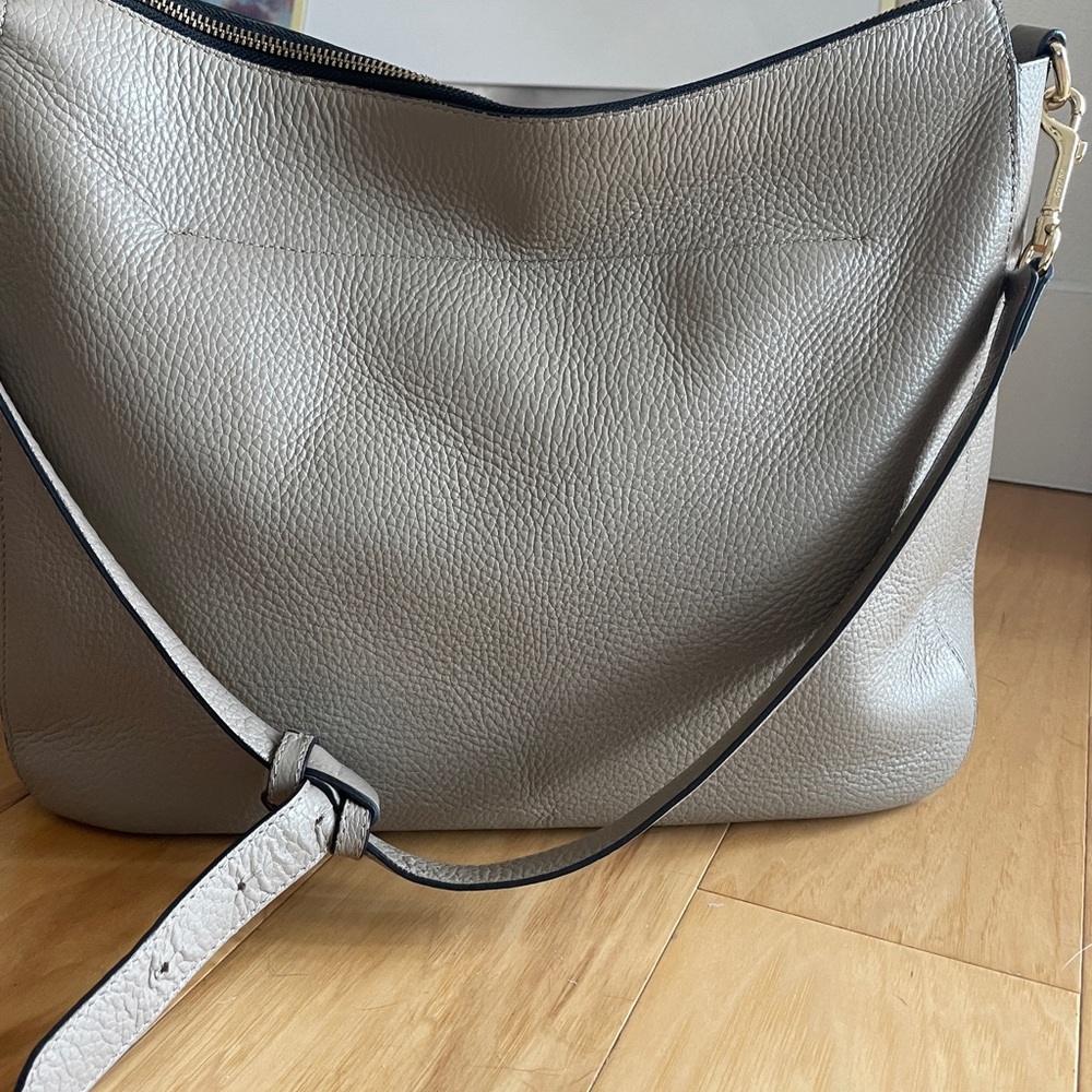 Cuyana Leather Hobo
